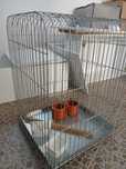 Gaiola para aves grande como nova