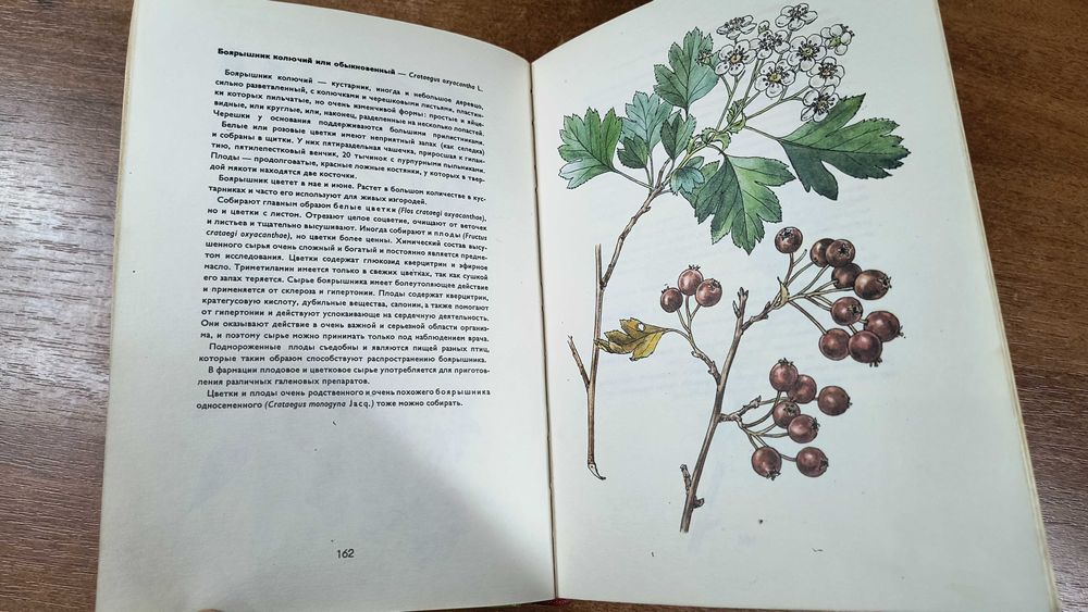 Атлас лекарственных растений (Мацку, Крейча)