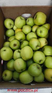 5 kg jabłek mutsu, 5 kg mieszanki jabłek