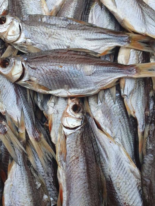 Рыба вяленая опт и розница. Тарань,Лещ,Чехонь,Синець,Густыря