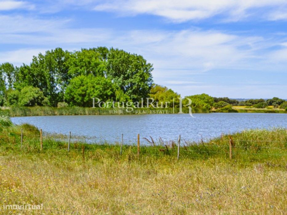 Propriedade de 155 ha com barragem privada