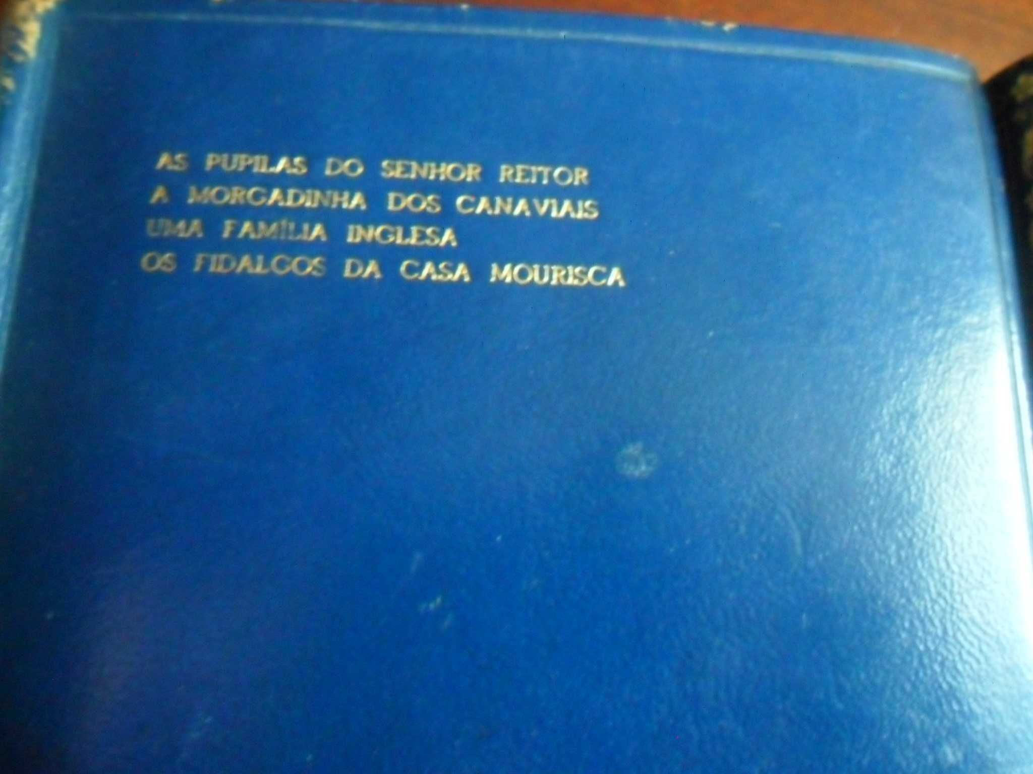 "Obras de Júlio Dinis" de Júlio Dinis - 2 Volumes em Papel Bíblia