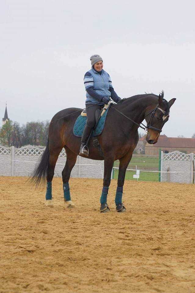 Piękny komplet LAURA GARELLI "Majestic", petrol, full, DL. Nowa cena!