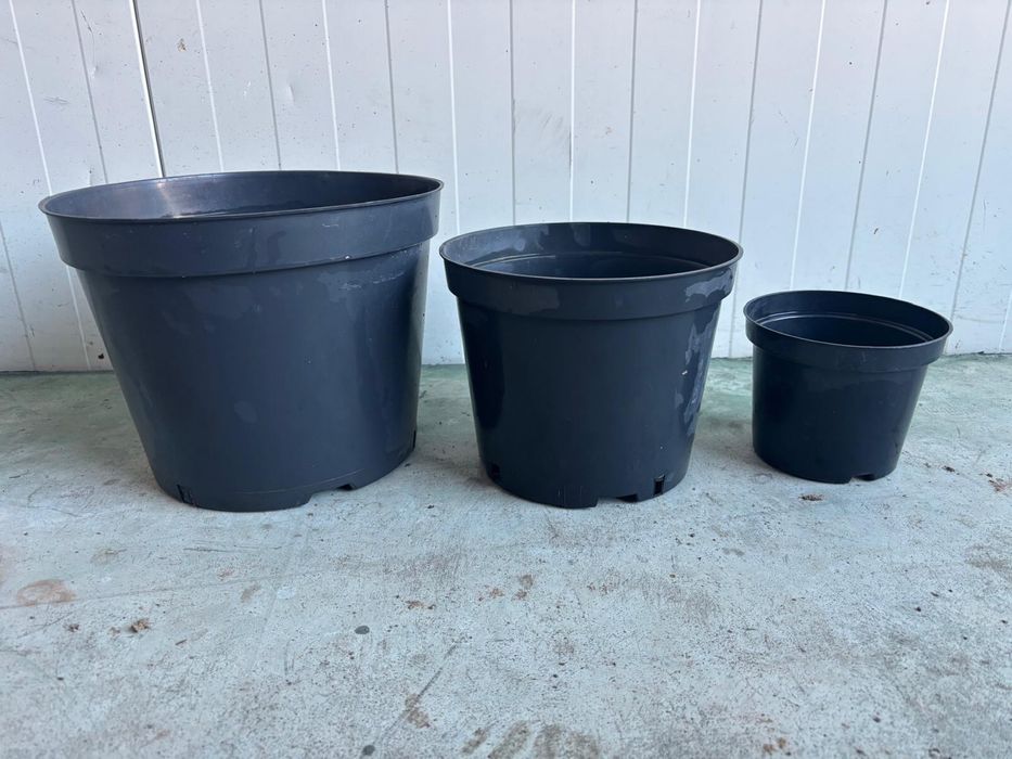 Doniczki : 1.5l ; 5l; 10l