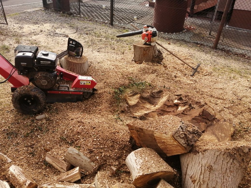 Wynajem rębaka,zrębkowanie gałęzi Czechowice Dziedzice /cedrus Rb04,05