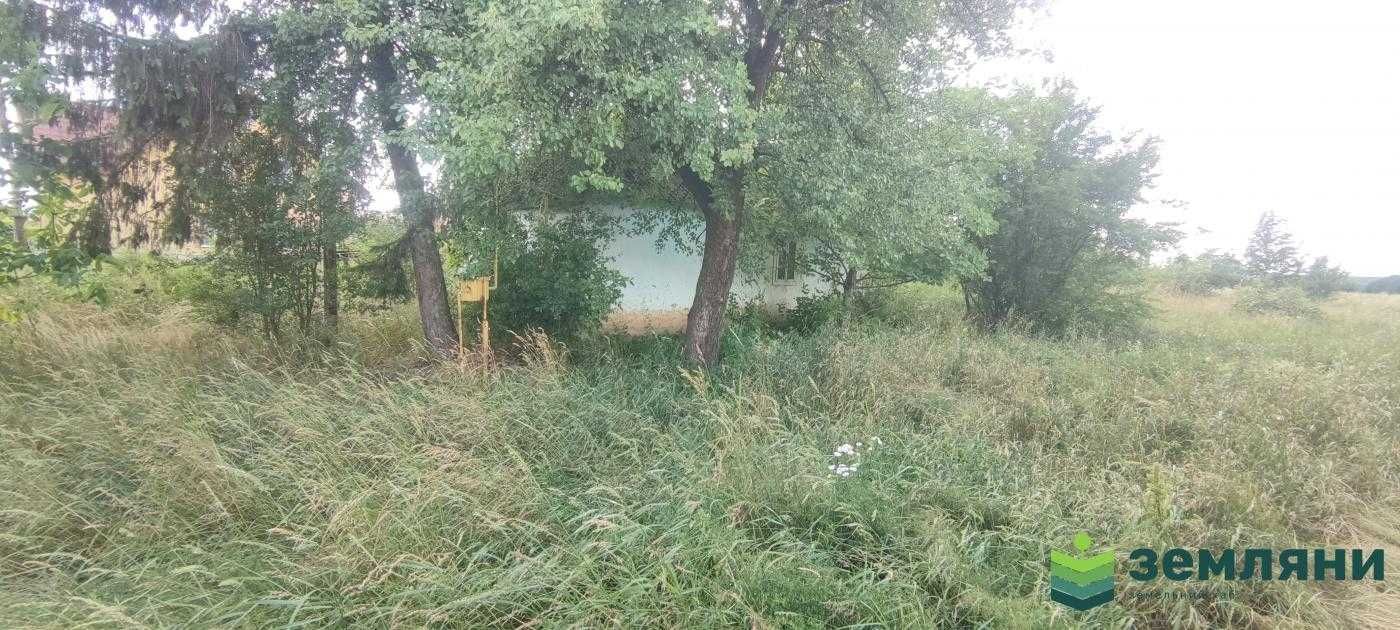 Продається будинок 47 м2 із ділянкою 43 сот у с. Липівка