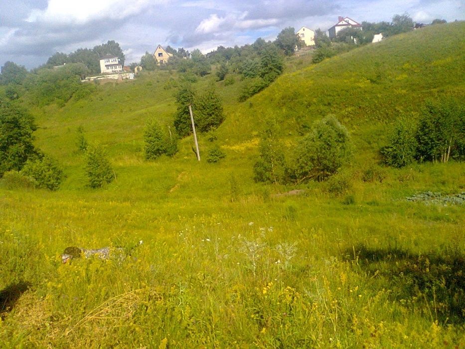Продажа земельного участка в Васильковском районе
