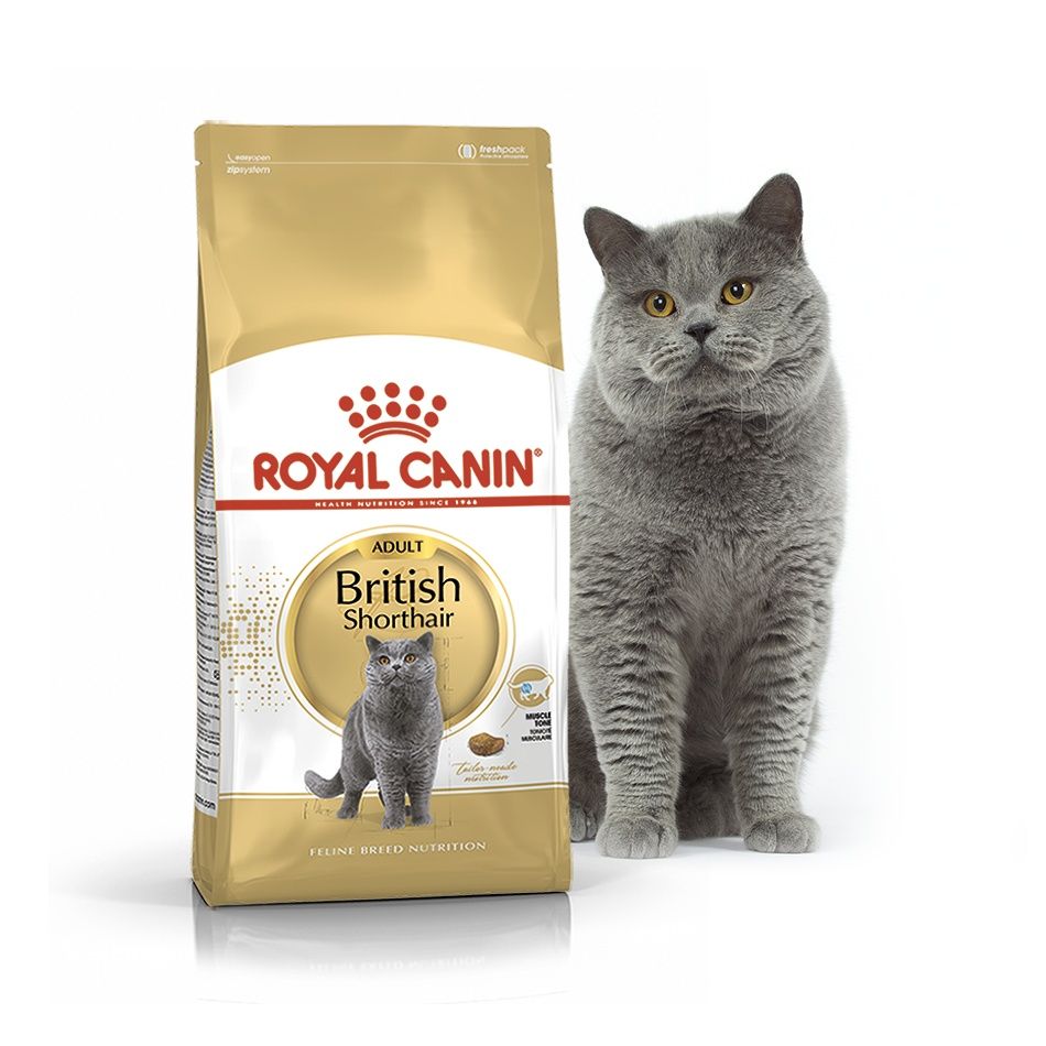 4кг Сухий корм для котів супер-преміум Royal Canin British Shorthair