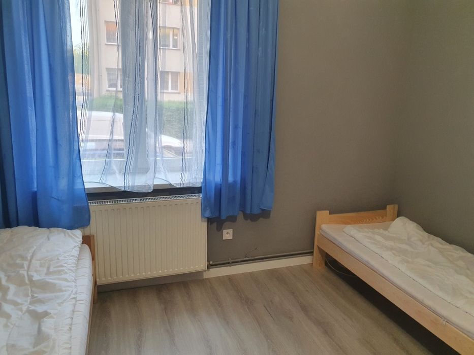 Pokoj do wynajecia Legnica