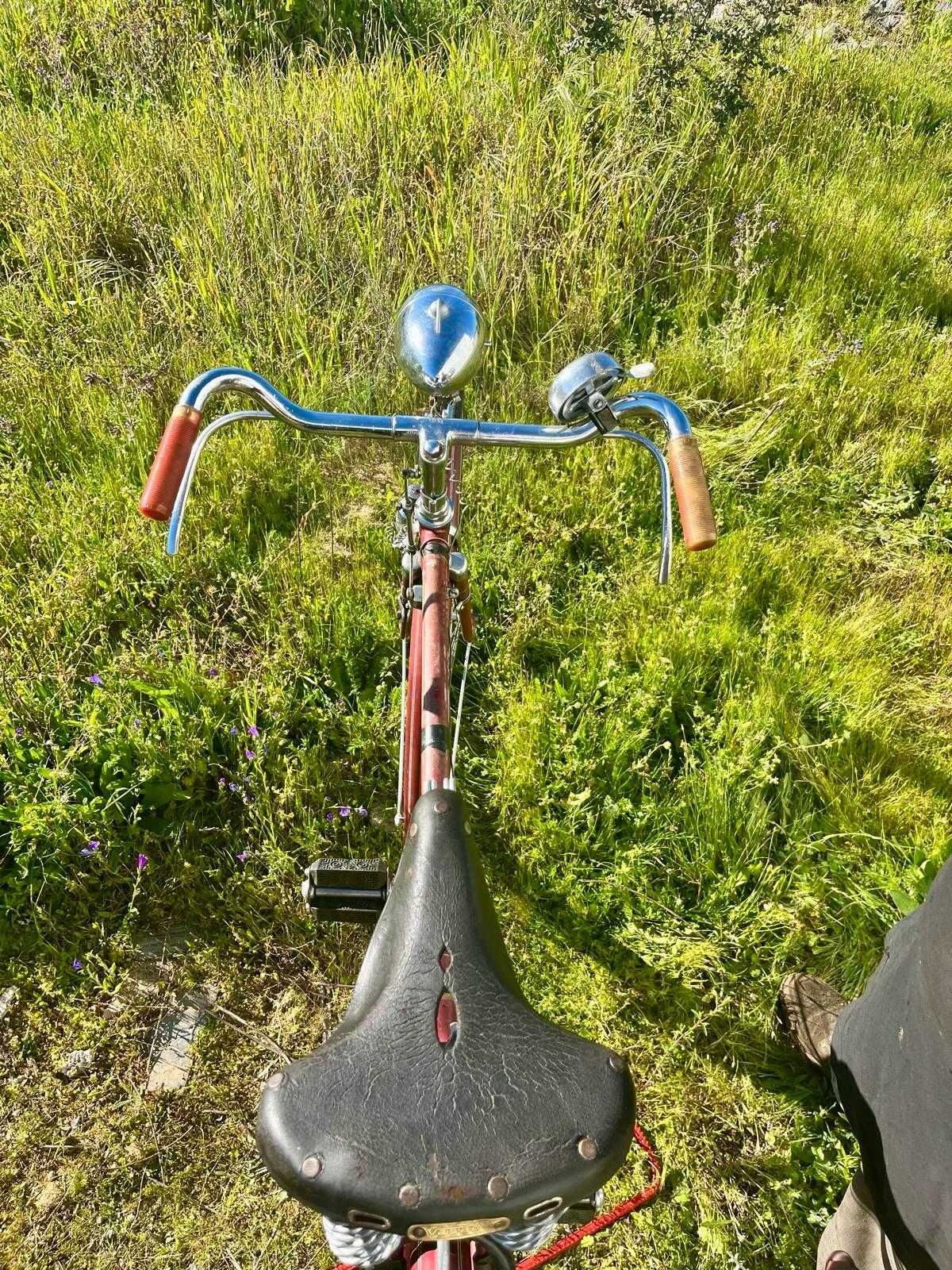 Bicicleta Pasteleira Marsan de Luxe