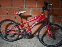 Bicicleta Rapaz Berg