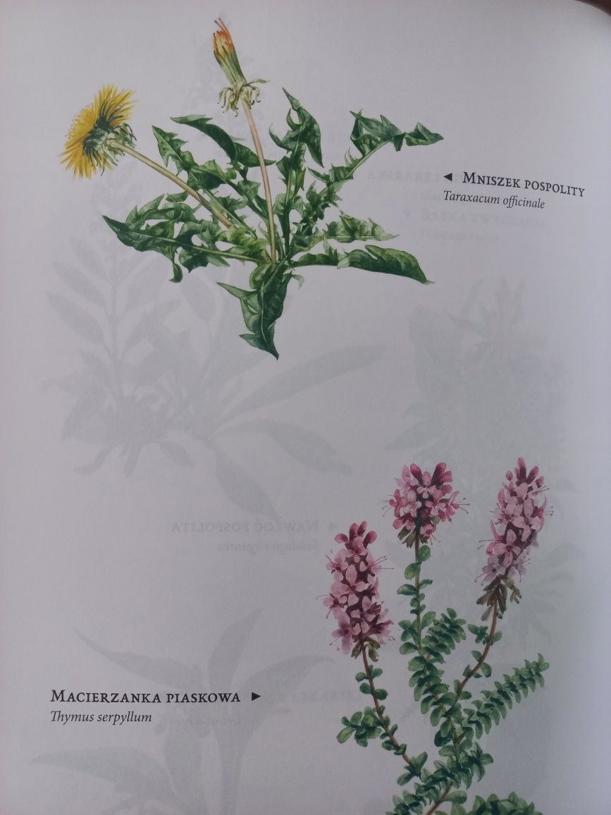 "Apteka Pana Boga" Maria Treben