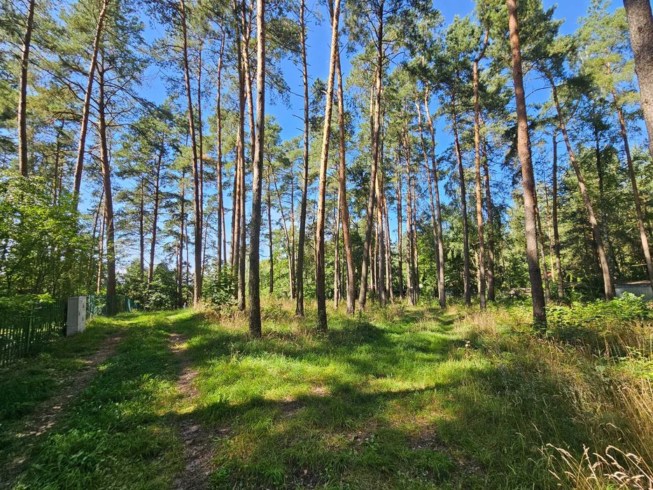 działka w pierwszej linii brzegowej widokiem na jezioro w lesie Mazury