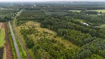 Przepiękne grunty Natura 2000 Ziemia rolna Ciecholub Woj. Pomorskie