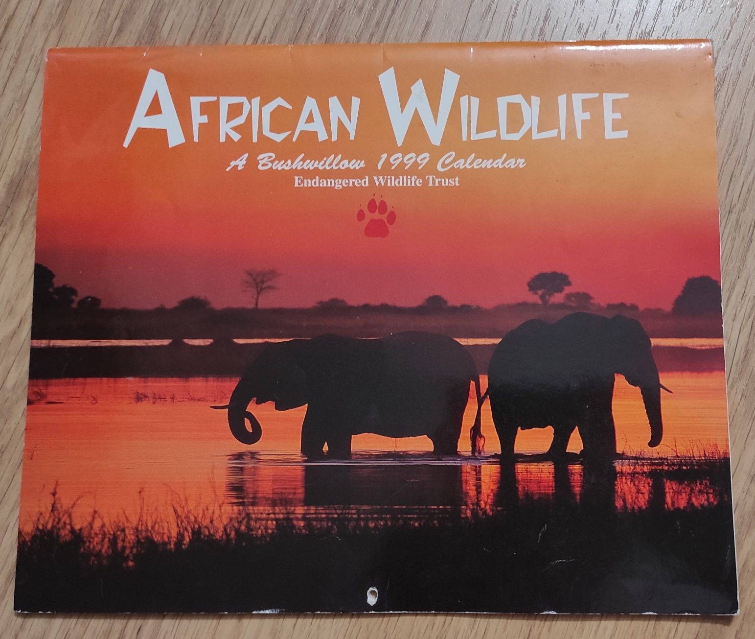 African Wildlife – A Bushwillow (1999 calendar)