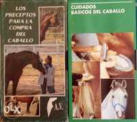 cuidados básicos CAVALOS