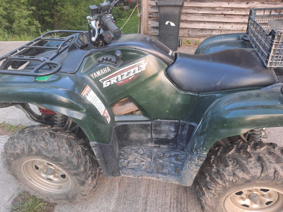 Quad grizzly 550