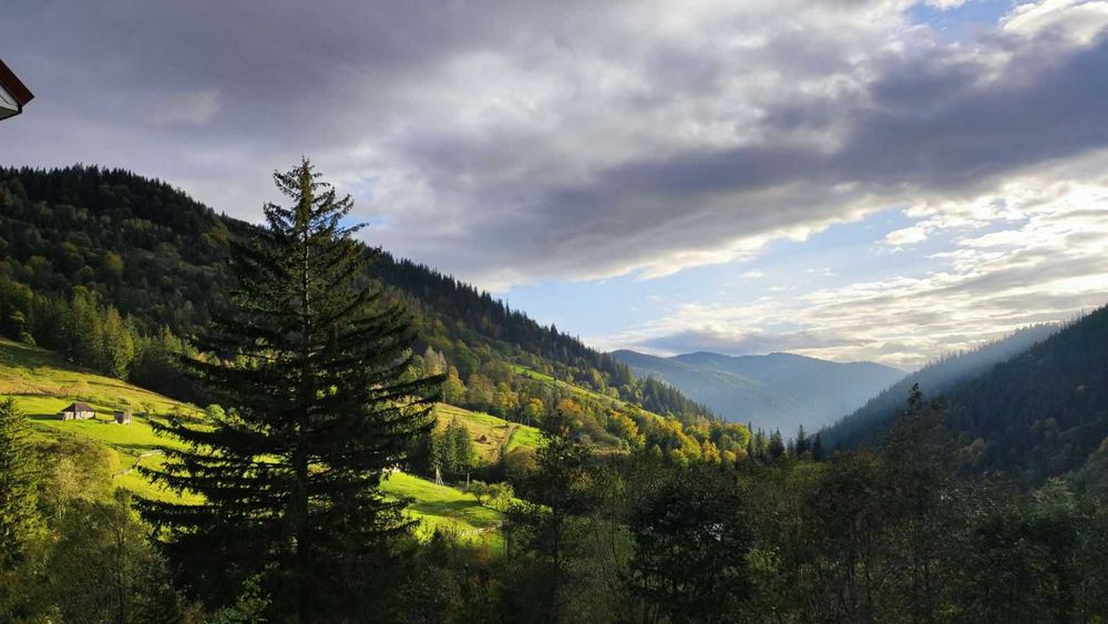 Відпочинок в Карпатах. Садиба Ековид та інстабудиночок Ekovyd Haus