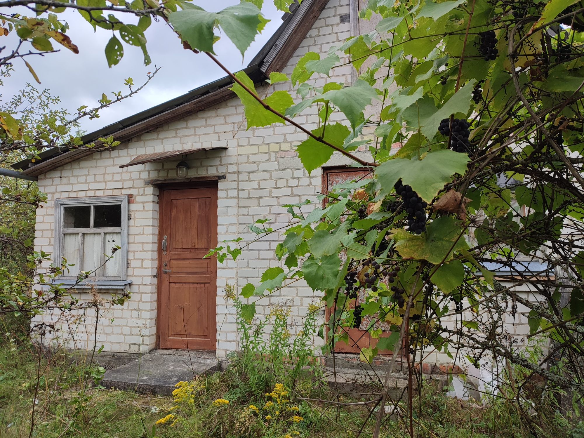 Терміново!!! Продається дача в Бобровському масиві