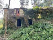 Quinta  Venda em Lufrei,Amarante