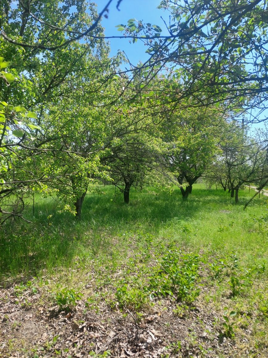 Дача біля Новомосковську (Самар)