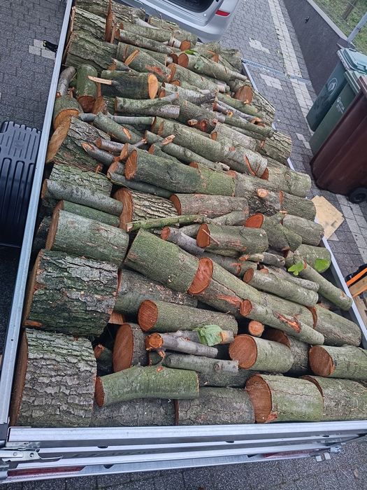 Sprzedam drzewo opałowe brzoza olcha