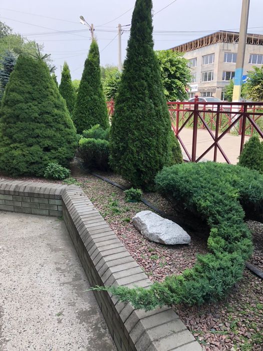 Ландшафтний дизайн догляд за зеленими насадженями