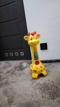 Żyrafa dla dzieci