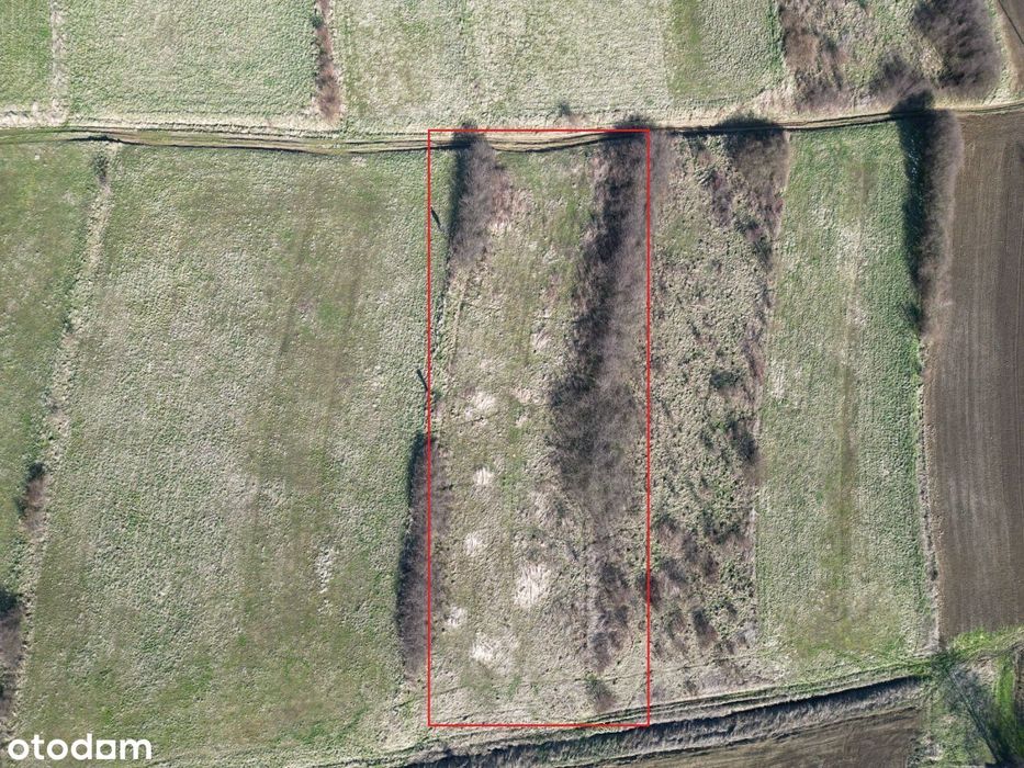 Super Widokowa  Cena do negocjacji.