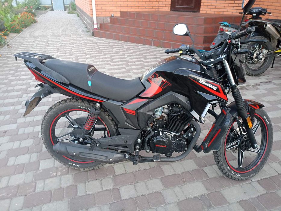 Musstang region mt 250