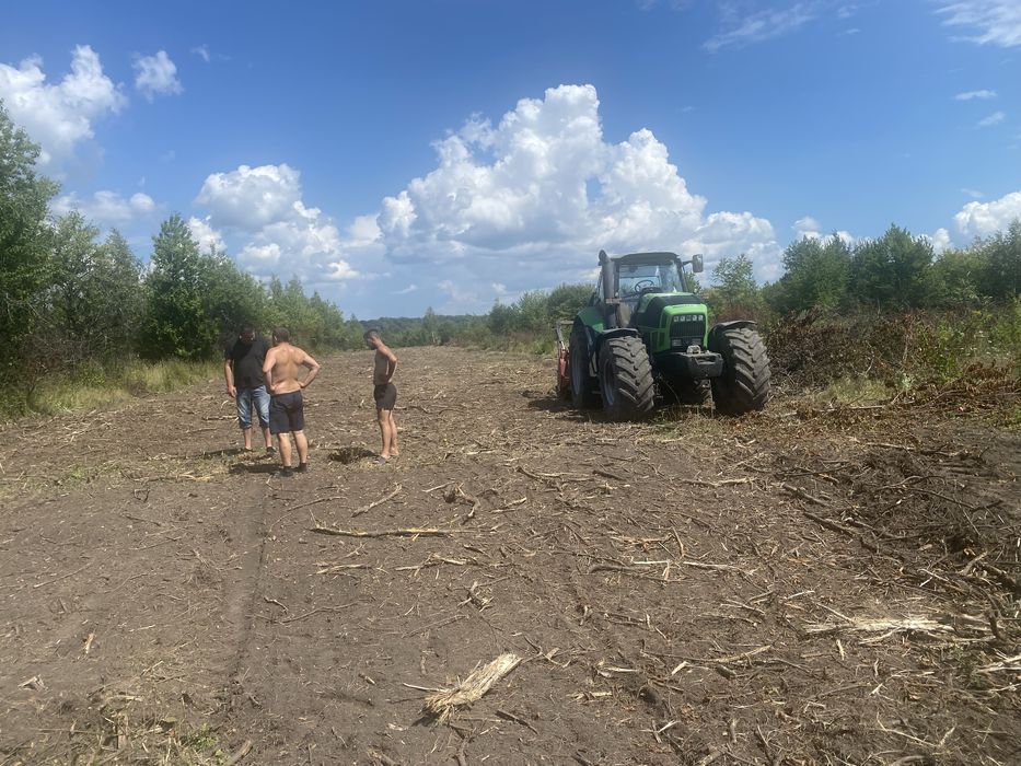 Розліснення ділянок