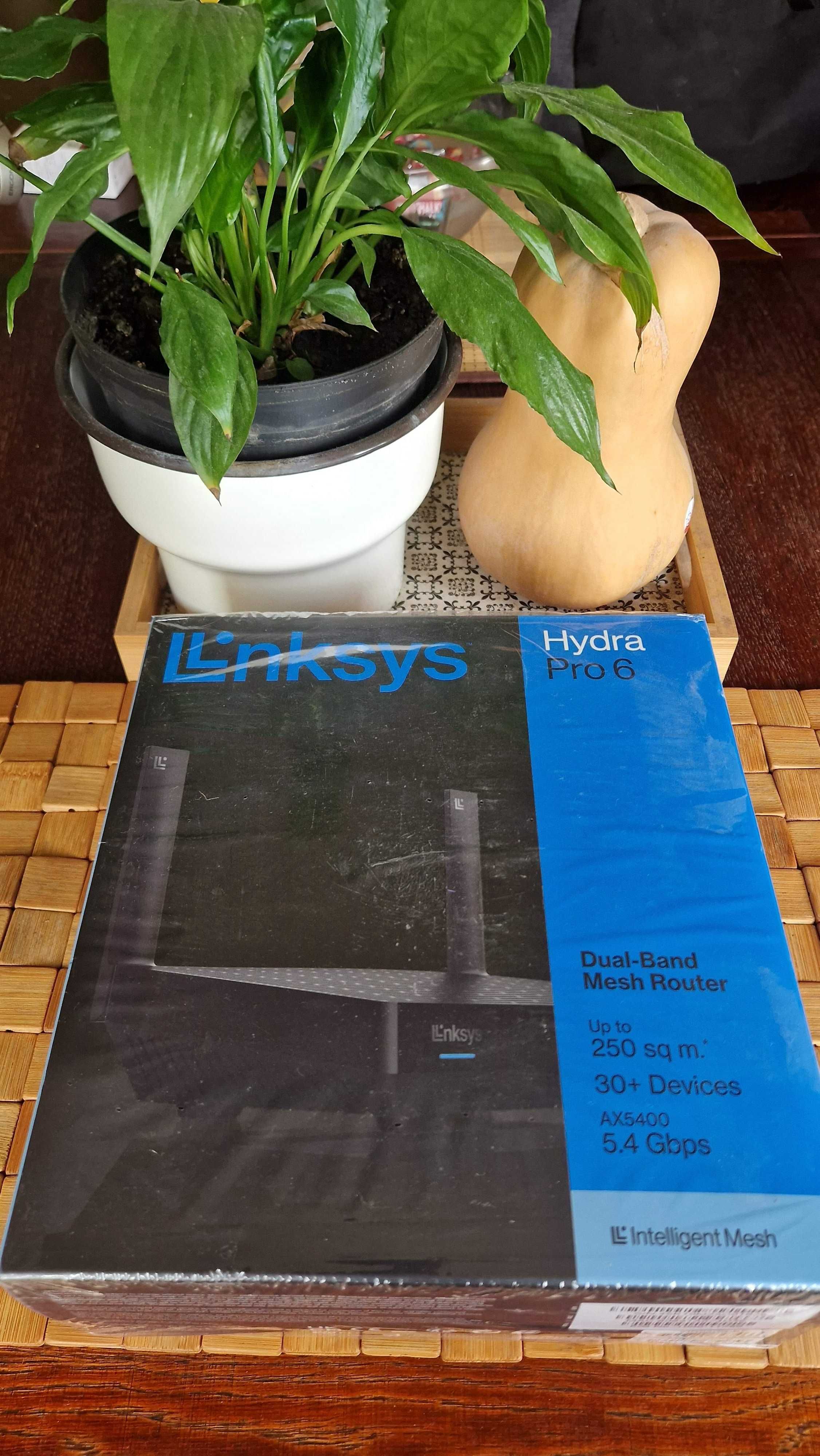 Router Linksys Hydra 6