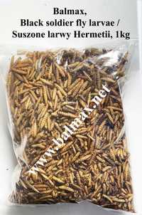 Balmax, Suszone larwy Hermetii / Black soldier fly larvae / 1000g.