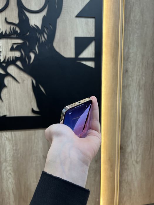 IPhone 13 Pro 128gb Silver Костюшка 5