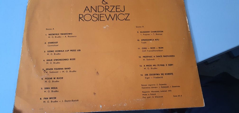 Winyl Asocjacja Hagaw & Andrzej Rosiewicz