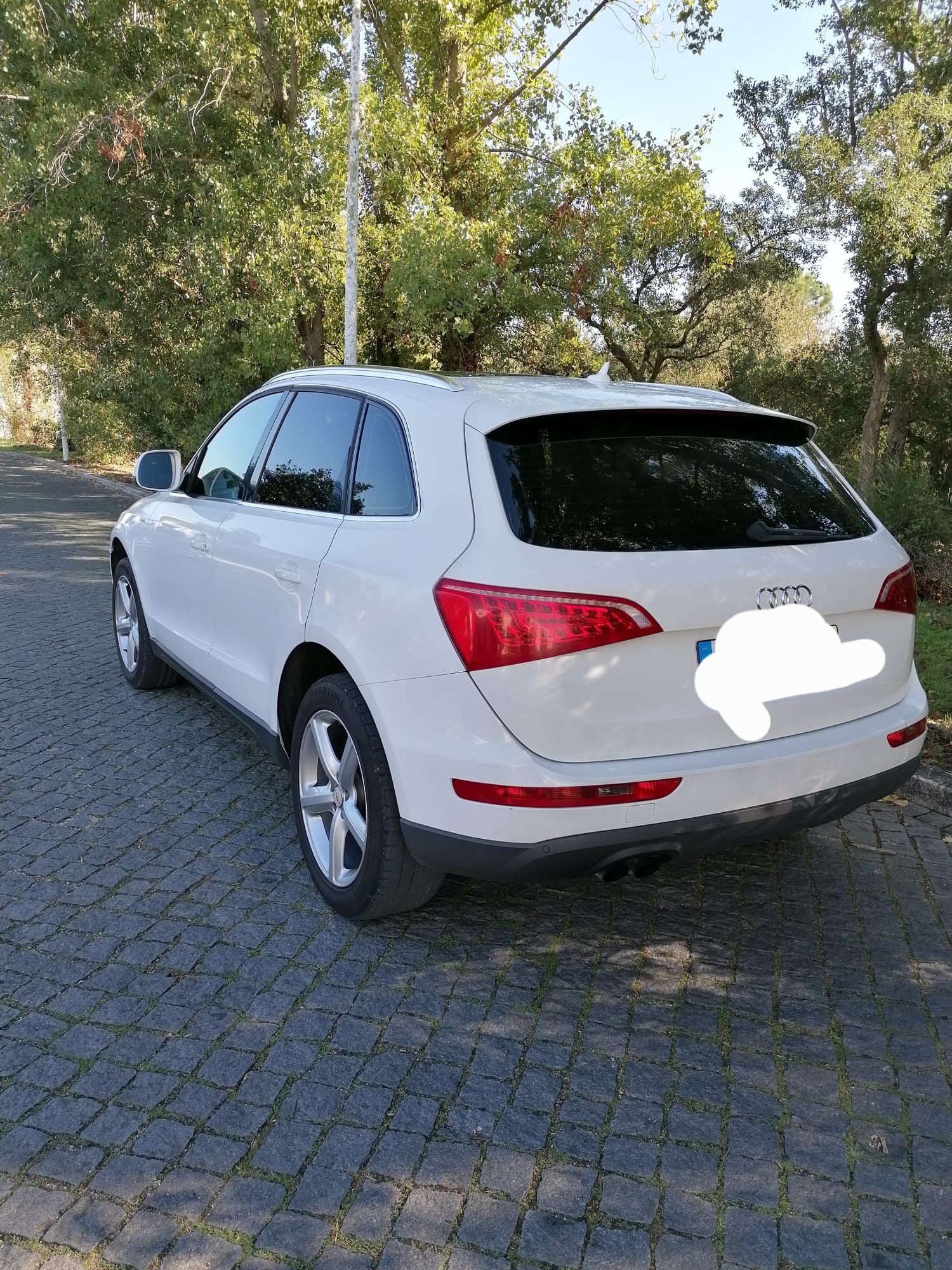 Audi Q5 S-Line 2010
