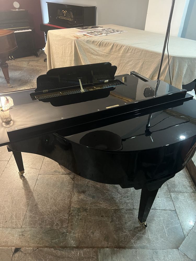Piano cauda 1/4 cauda petrof modelo vi esta impecavel