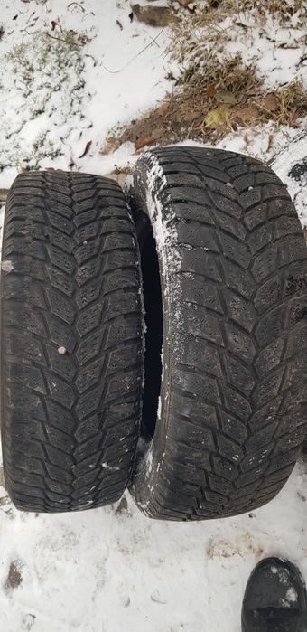 Продам максмилер 205 65 15с