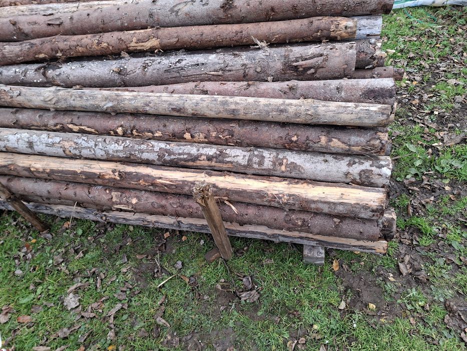 Stemple budowlane drewniane 3 m / 2.5m