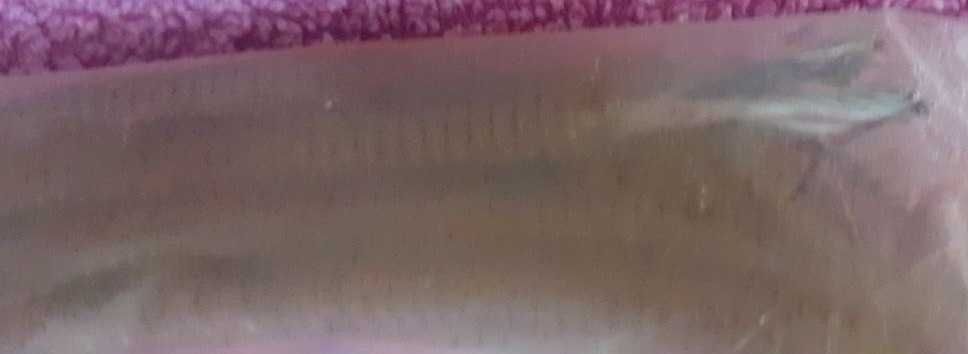 Гибкий шланг для прочистки водопроводных труб и санузлов 8мм, 6 метров