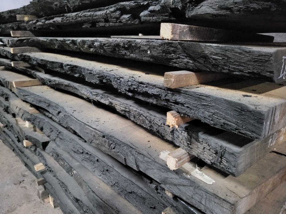 czarny dąb, brusy czarny dąb, dąb bagienny, black oak, dąb czarny