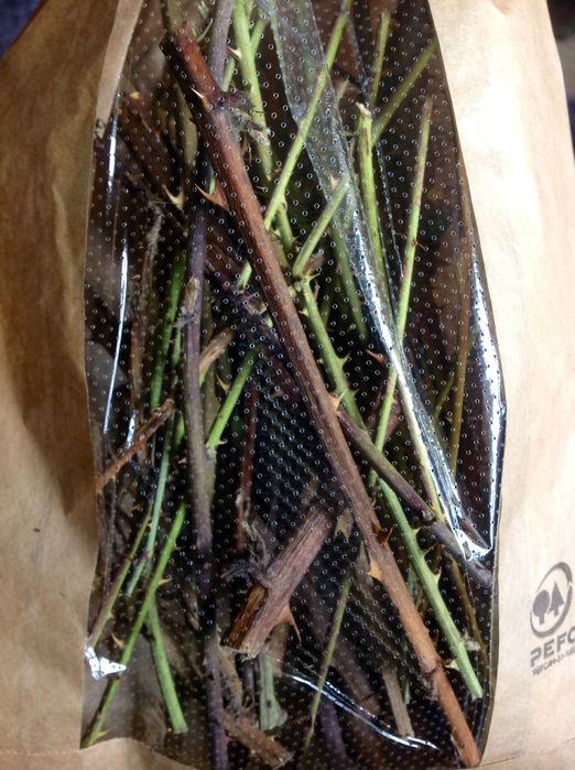 Hej, kup u mnie :) Ścieraki #gryzaki #gałązki jeżyny