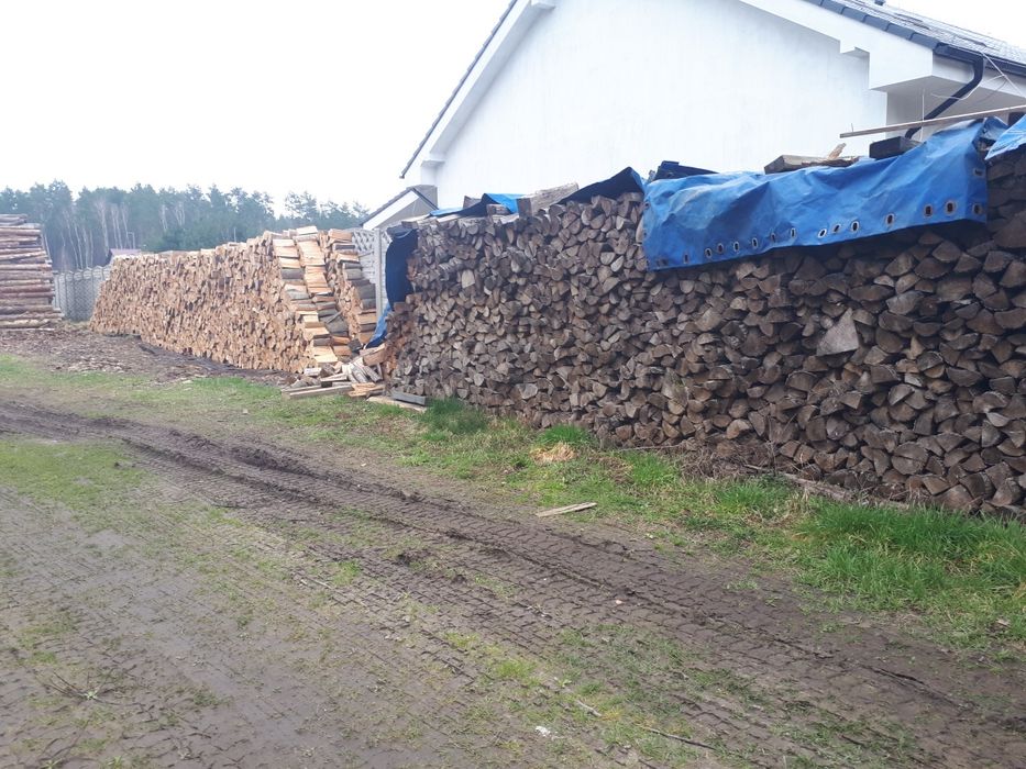 SUCHE Drewno Akacja Dąb Buk Grab Sosna