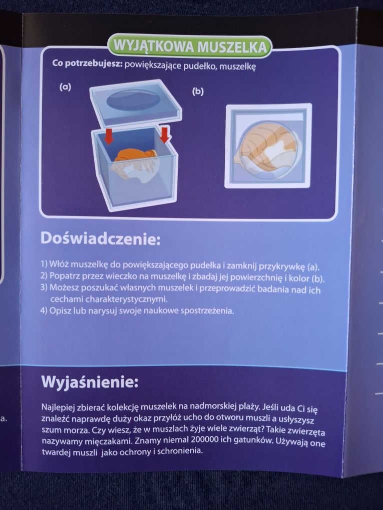8 ciekawych doświadczeń odkrywających oceaniczne tajemice!