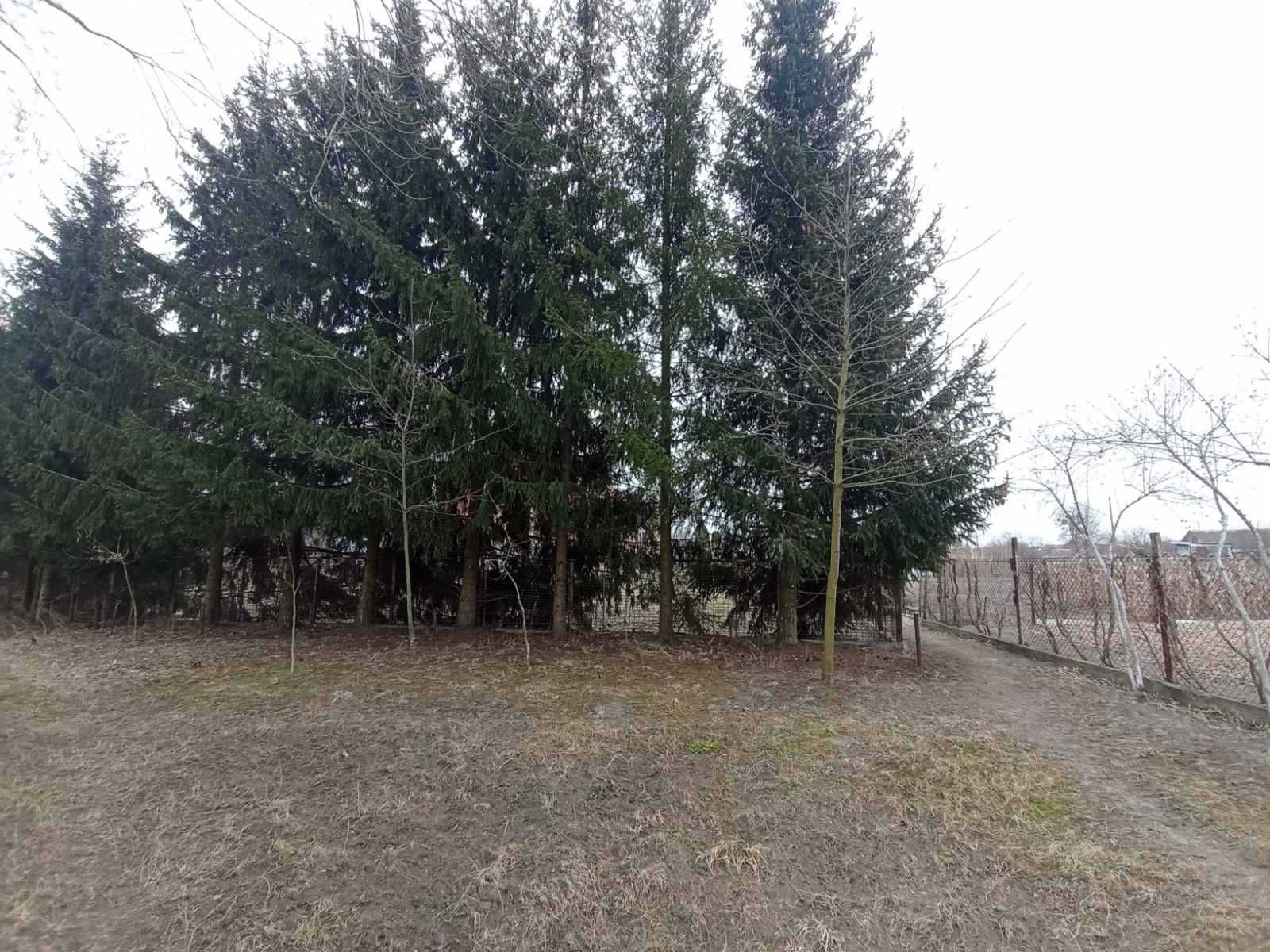 (3) Продам земельну ділянку в Стрижавці 0756