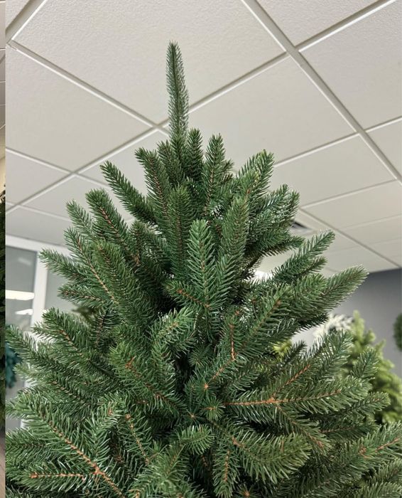 Ялинка лита Альпійська Віденська Ковалівська Сіга Груп Siga Group