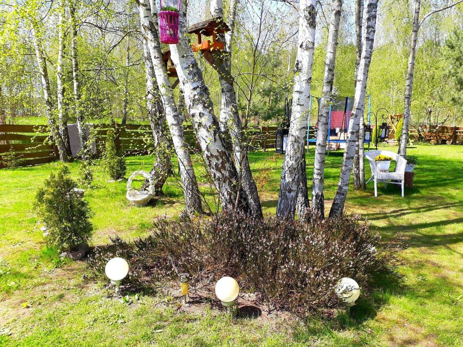 Domek w Radęcinie-wynajem-Nowy Rok 2025  - 31.12 do 04.01 (2500zł) 8os