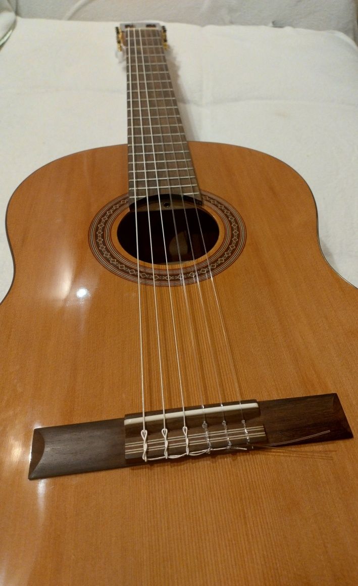 Gitara klasyczna Cordoba Dolce 7/8