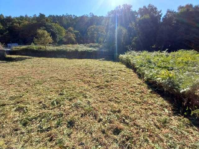 Limpezas de terrenos / desmatação e jardinagem