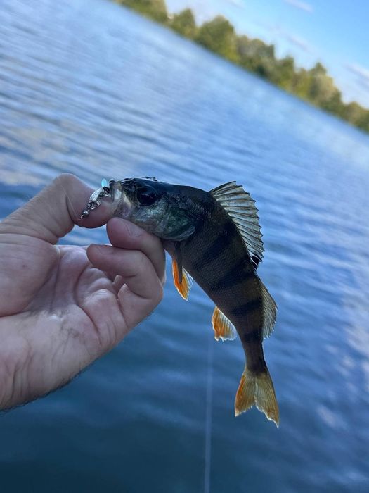 Azura X-Game X64SUL Nano TZ 1.93м 0.2-2г